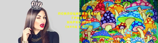 синтетический гашиш Арсеньев