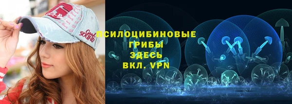 соль ск Аркадак