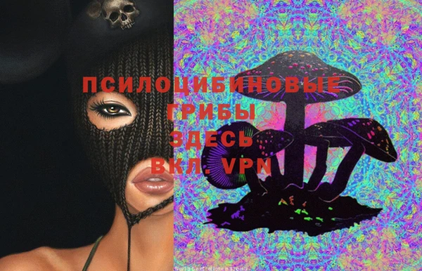 соль ск Аркадак