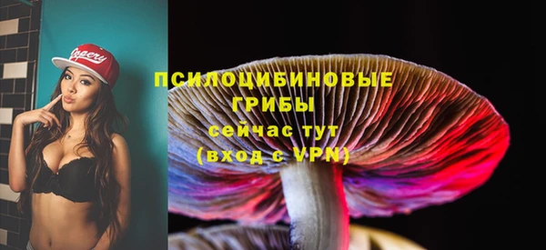 синтетический гашиш Арсеньев