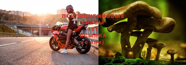 синтетический гашиш Арсеньев