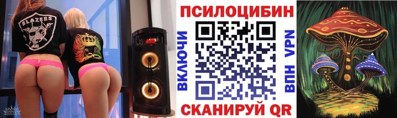 Псилоцибиновые грибы Cubensis Саки
