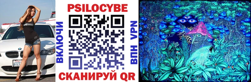 MEGA как зайти  Саки  Псилоцибиновые грибы Cubensis  где купить  